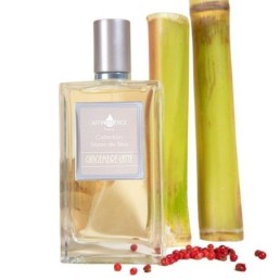 Gingembre latte - extrait de parfum - Affinessence (100 ml) Fraîcheur intense et sillage d'exception