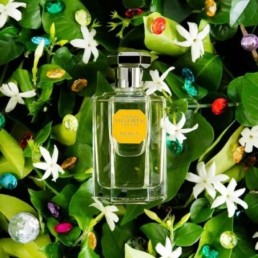 Dilmun - Eau de toilette - Villoresi (100 ml) Le jardin du soleil, radieux