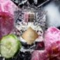 Roses on ice - Eau de parfum - Kilian - Un gin on the rocks