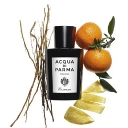 Colonia essenza - Eau de toilette - Acqua di parma - Dynamique, determinée, Colonia boisée