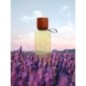 Provence - Eau de parfum - Nissaba (100 ml) Un champ de lavande