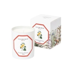 Melon - Bougie - Carriere Frères (185 g) Heureuse et estivale